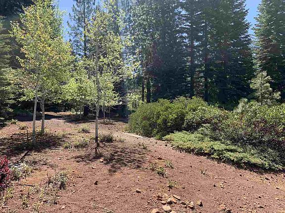 2nd image of 29 Fox Peak Dr