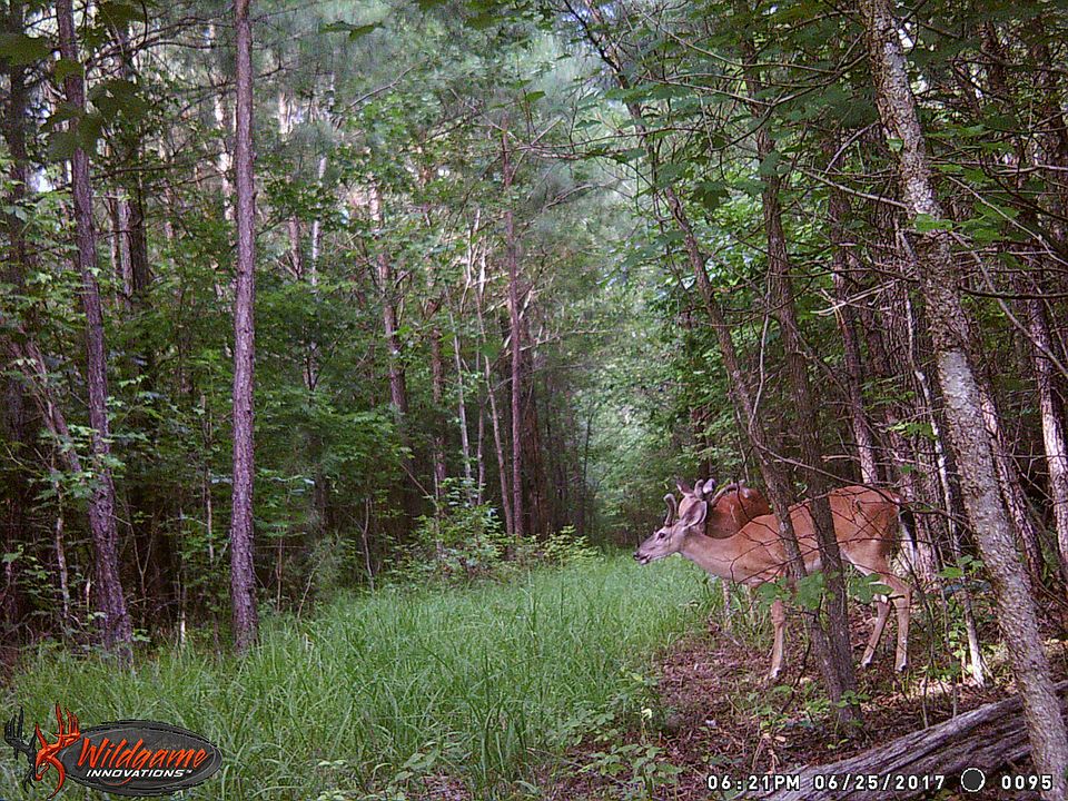 2nd image of 3428 Brick Bat Rd