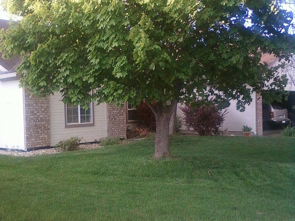 Front view showing front bedroom