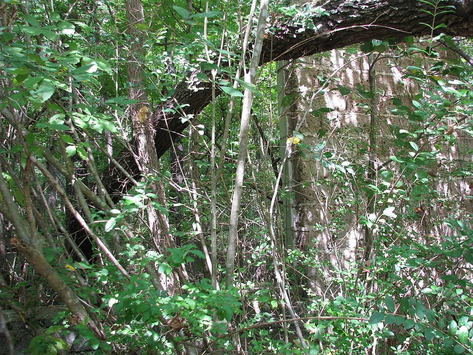 1st image of 0 Old Tribble Ln Lot 88.00