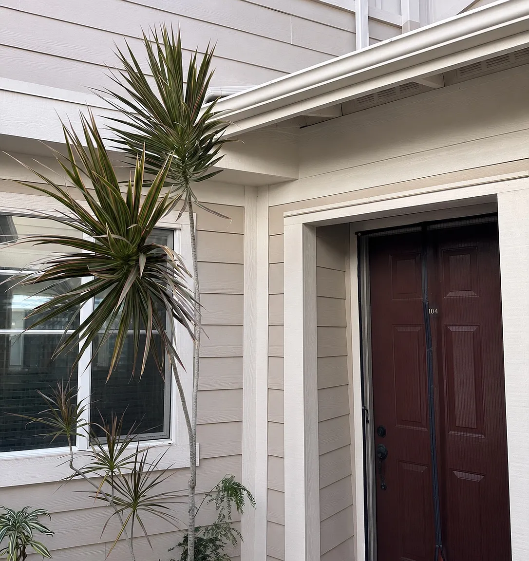 2 bed, 2.5 bath, 1233 sqft, $4,200 — Photo 3