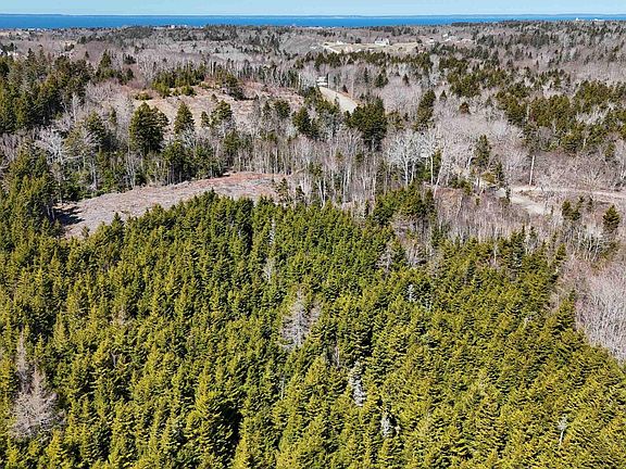 4th image of LOT 2 Marc Comeau Rd