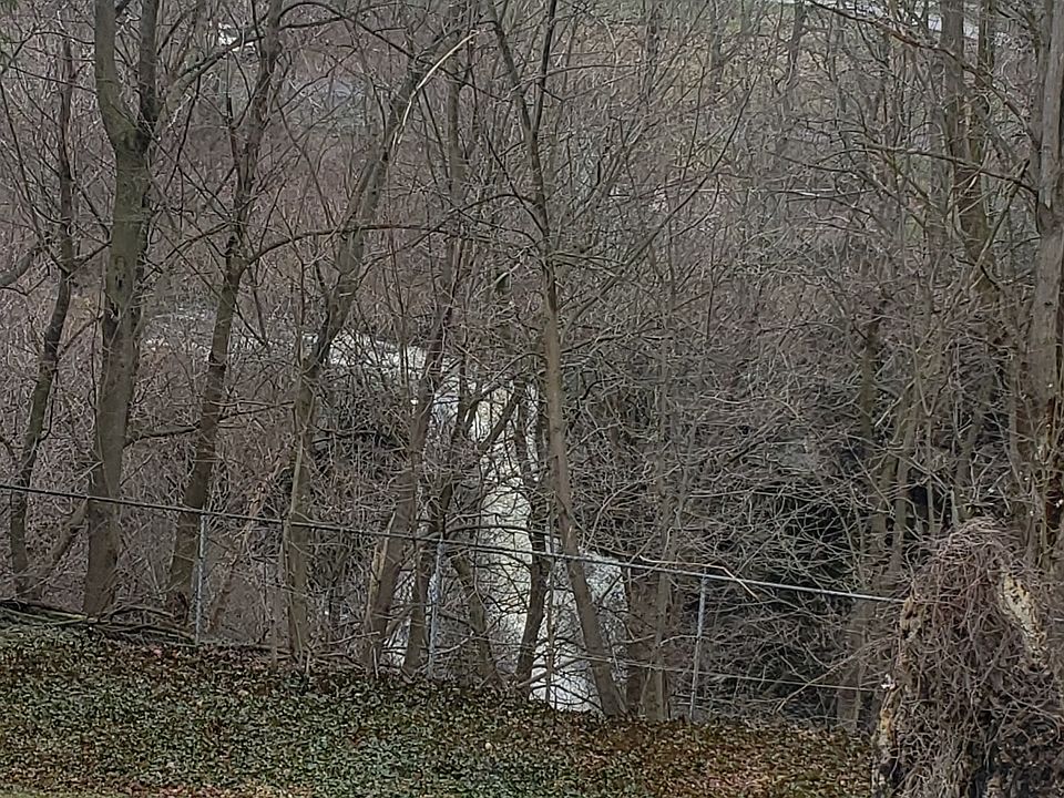 waterfall view from in house