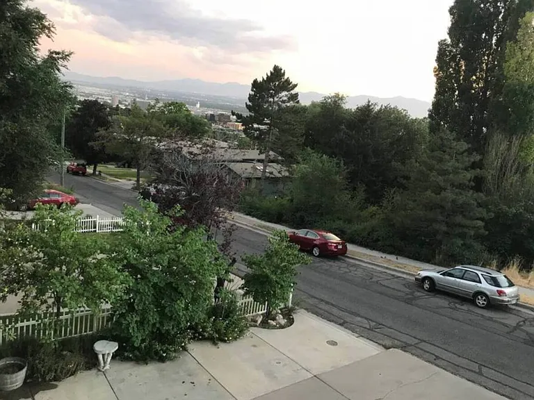 Window View