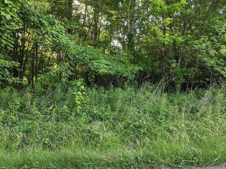 2nd image of 0 Hyde Rd