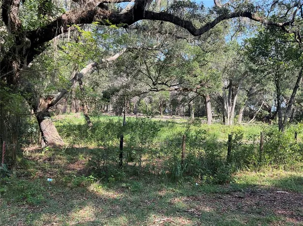 17290 SE 134th Avenue Rd, Weirsdale, FL 32195