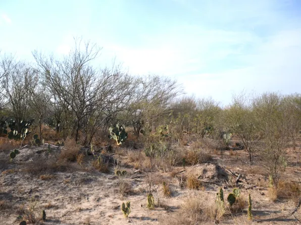 Abst 478 Abst 478 Por #46-B, Laredo, TX 78043