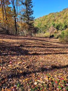 LOT B/105a Phillips Hollow Rd, Hiwassee, VA, 24347
