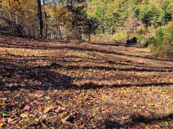 LOT B/105a Phillips Hollow Rd, Hiwassee, VA 24347