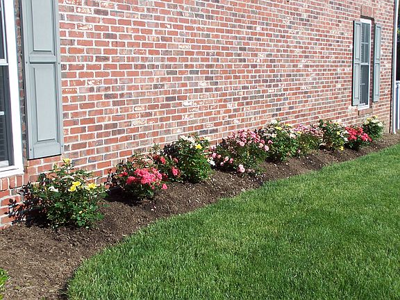 Roses added :-)