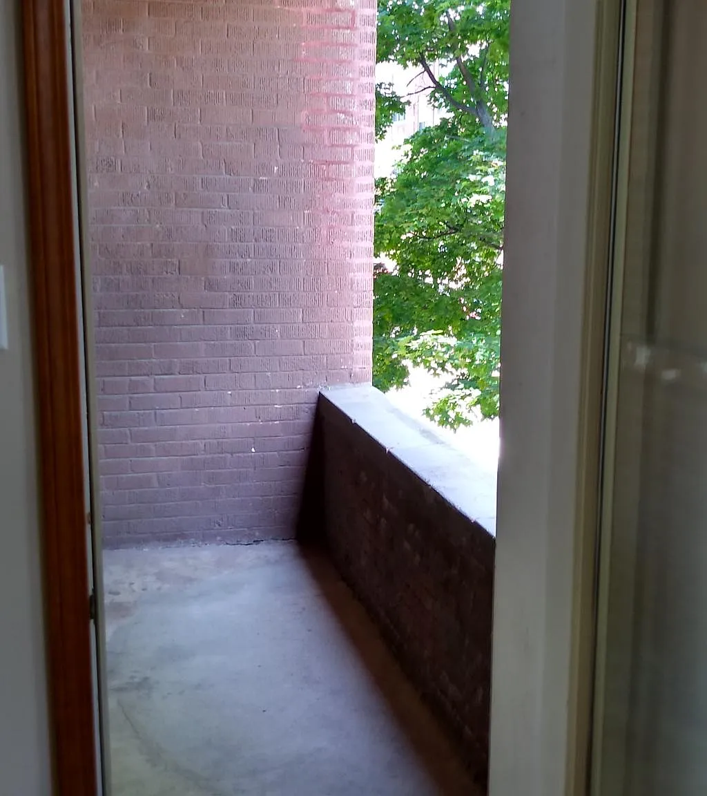 2 bed, $1,800 — Photo 2