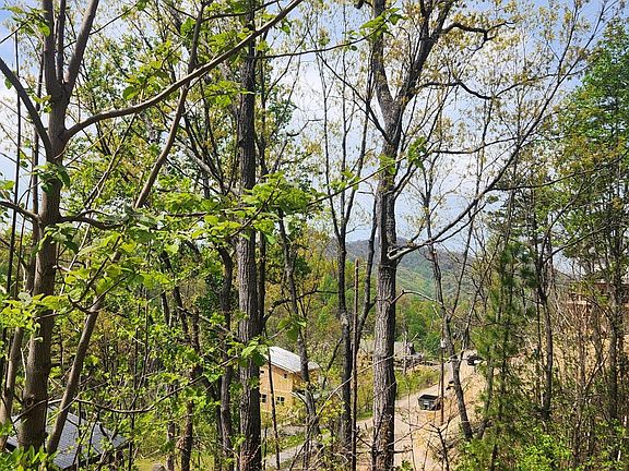 5th image of 1516 Headrick Lead Lot 15&16