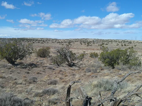 5280 Concho Ocho Rd, Snowflake, AZ 85937