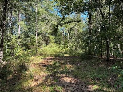 2 N Scottsville Rd, West Blocton, AL, 35184