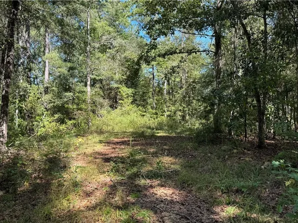 2 N Scottsville Rd, West Blocton, AL 35184