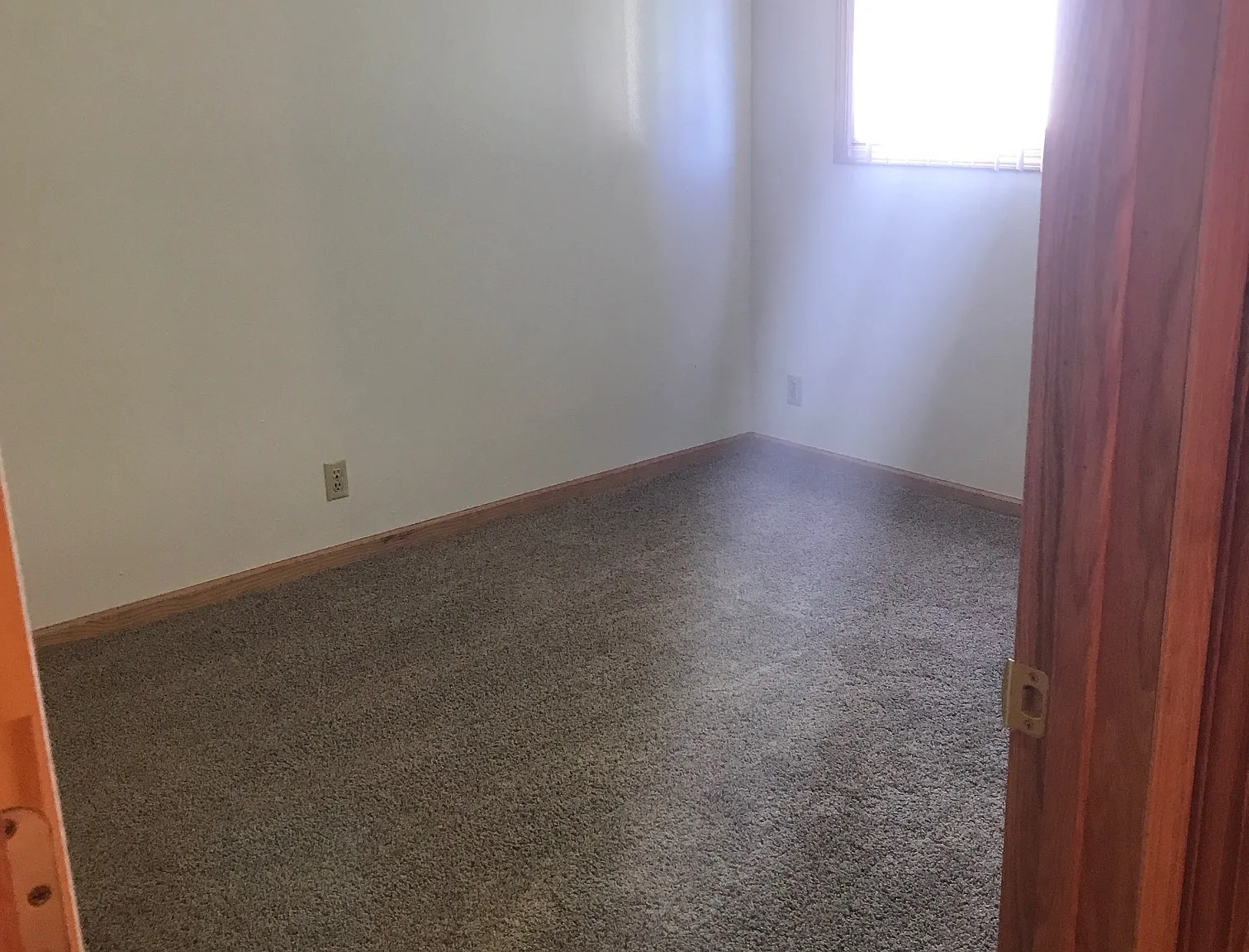 1 bed, $750 — Photo 4