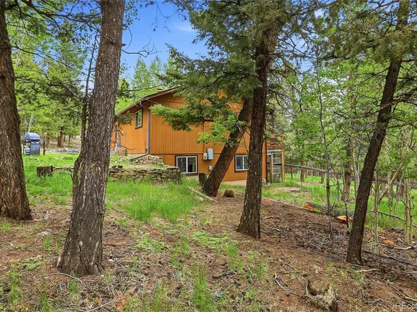 175 Mount Bailey Drive, Bailey, CO 80421