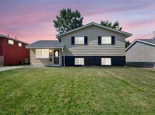 4263 Holl Ave, Sheffield Lake, OH 44054