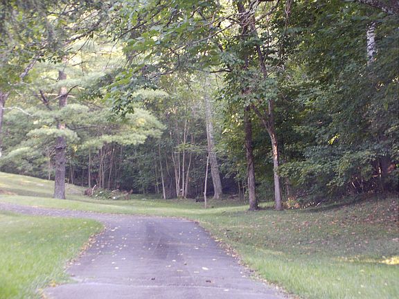 Driveway view