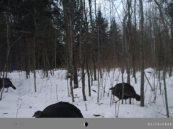 3rd image of N10035 Red River Rd