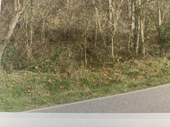 S State Highway 1, Webbville, KY 41180