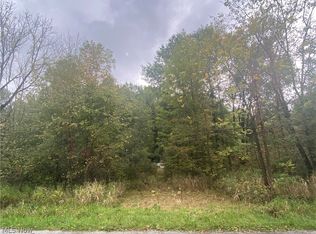 Anderson Anthony Rd, Leavittsburg, OH 44430