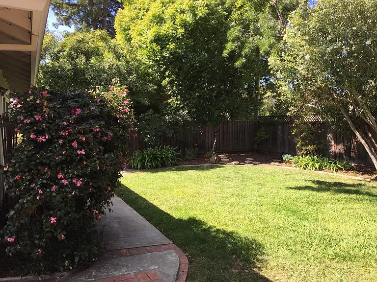 Backyard.