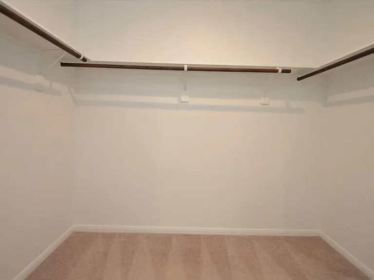 16412 Big Hickory Dr — Photo 12