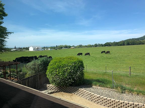 4th image of 1508 Gladstone Way