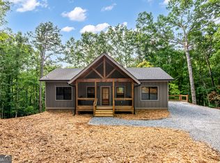 46 Oracle Ct, Ellijay, GA 30540