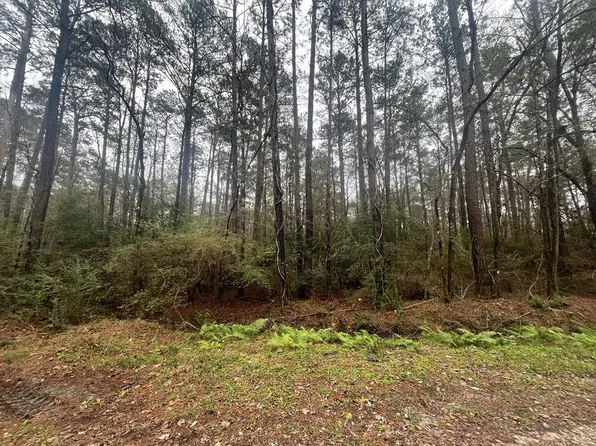 Pid 36355 County Rd #828, Vidor, TX 77662