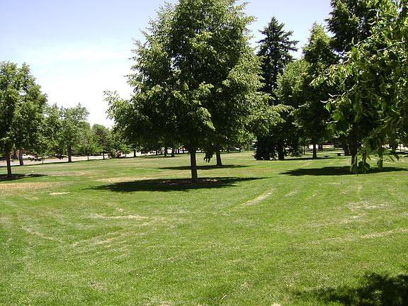 McDonough Park