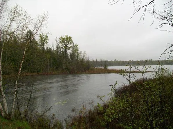 Kelley Dr, Millersburg, MI 49759