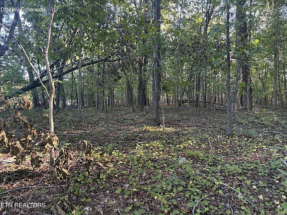 3rd image of 134 County Road 212