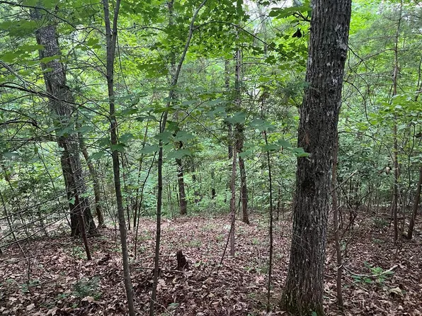 0 Wedgewood Rd, Franklin, NC 28734