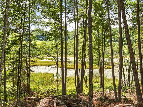 5th image of 885 River Road