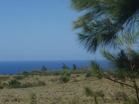 Nice ocean view from level yard