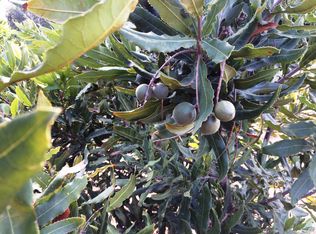 0 La Villa Cir, Temecula, CA 92592