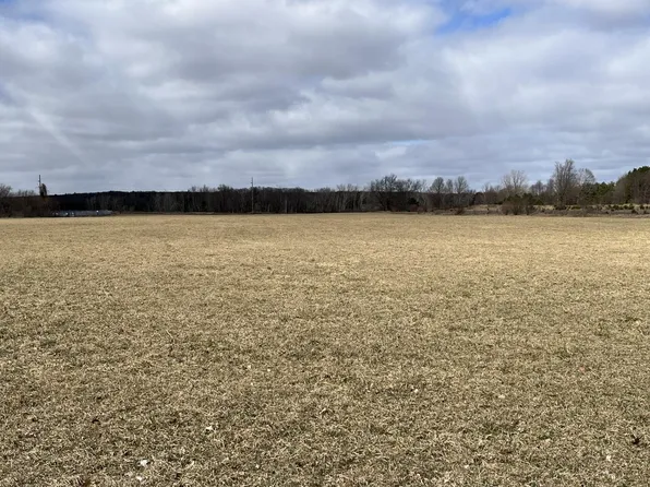 Par A 1 Mile Rd, Lakeview, MI 48850