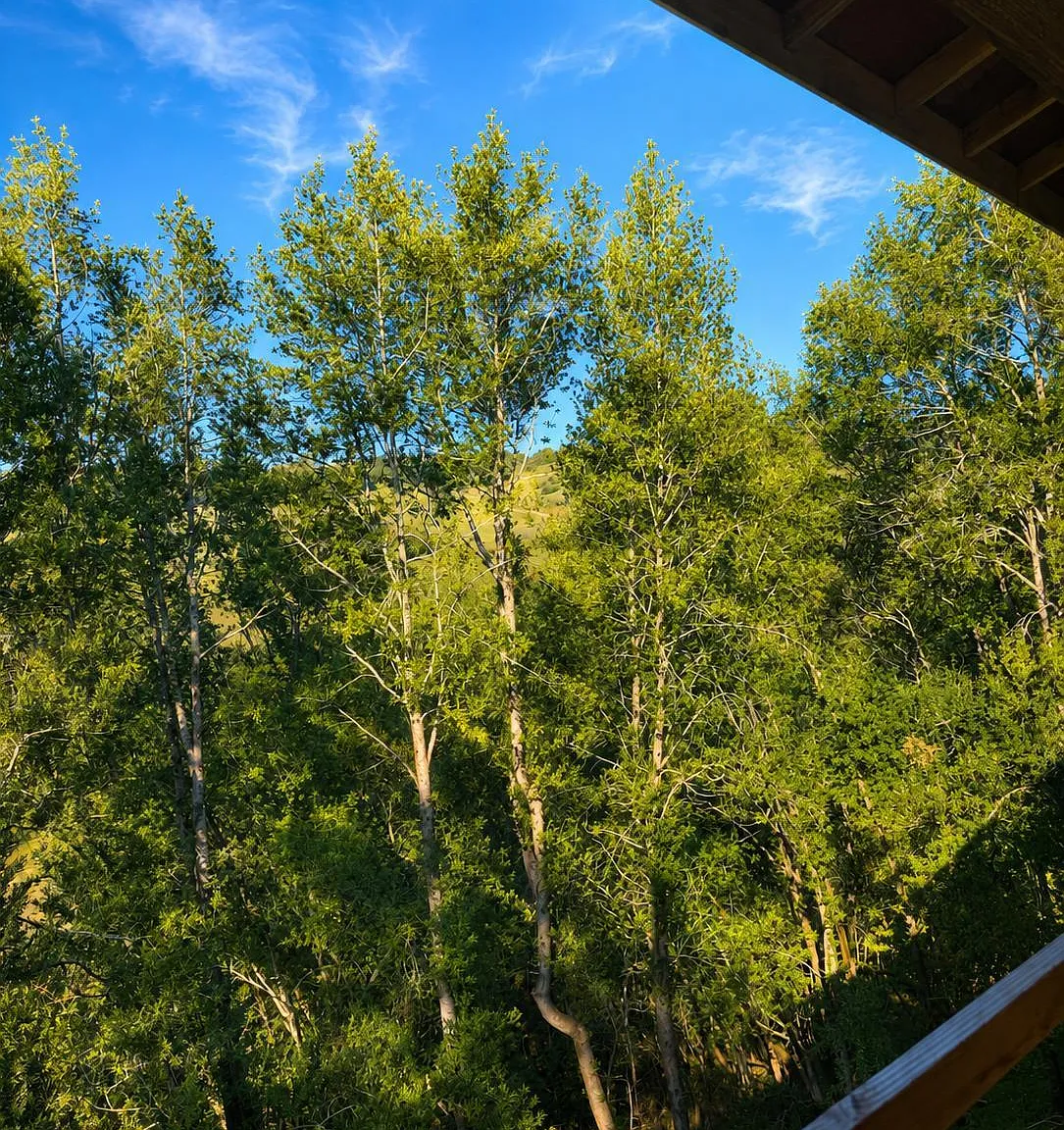 6059 Hyland Way - Photo 11