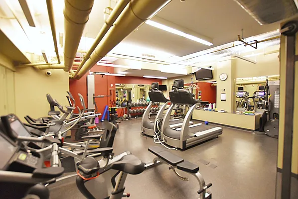 Rented by Bold New York | media 11