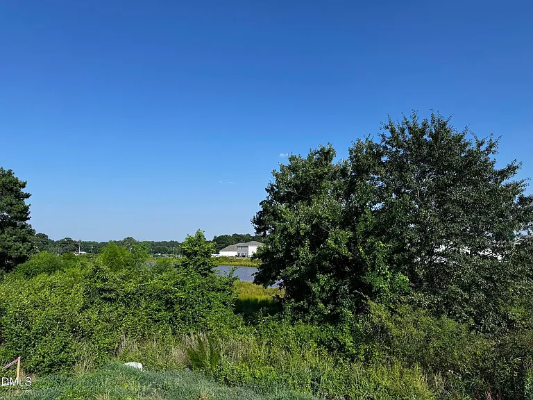 62 Thistle Patch Pl — Photo 5