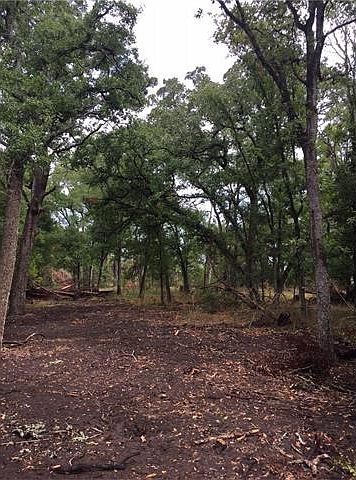 1st image of 1456 State Highway 304