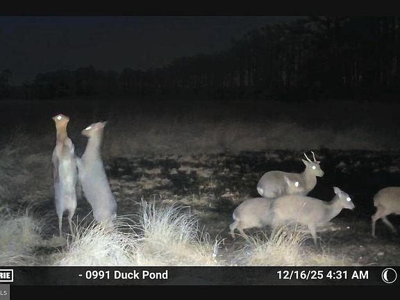 3rd image of 2839 Lakesville Crapo Rd