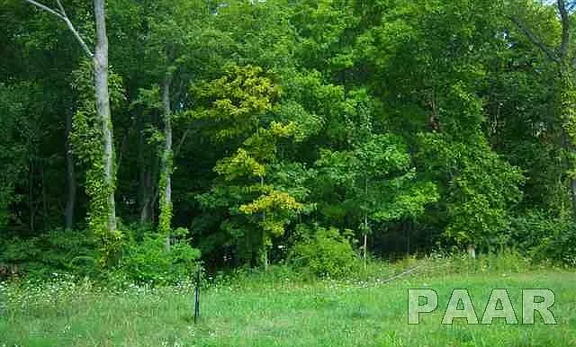202 Amelia Dr photo 1