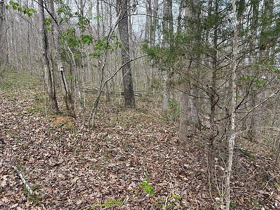 4th image of 2000B Green Ford Rd
