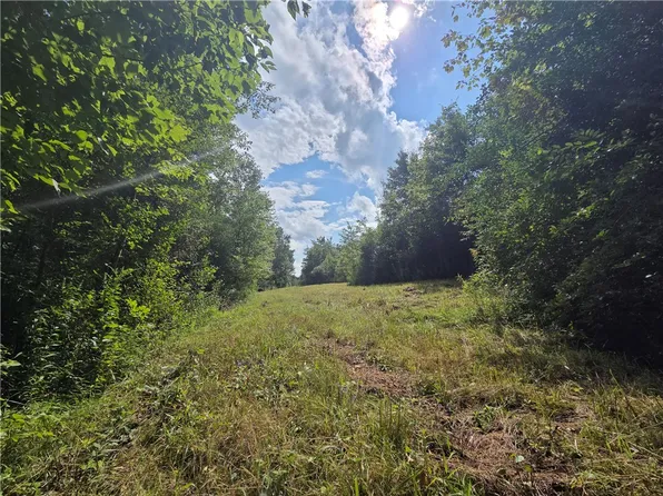 Bunnell Rd Lot 3, Waverly, NY 14892