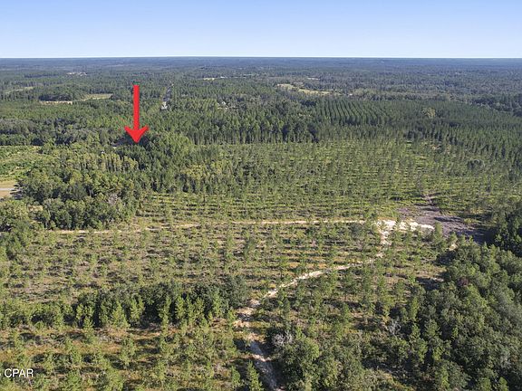 5th image of 2649 Bonnett Pond Rd