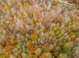 0 Chestnut Run Rd, Elizabeth, WV 26143