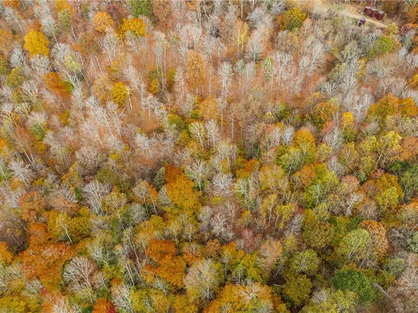 0 Chestnut Run Rd, Elizabeth, WV 26143